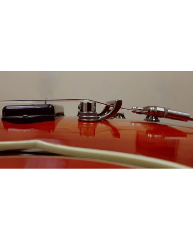Towner Bigsby B3 Gold Kit für Gitarre mit schwebendem Saitenhalter - Linkshänder