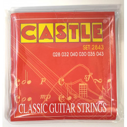 Castle Classsic Guitar...
