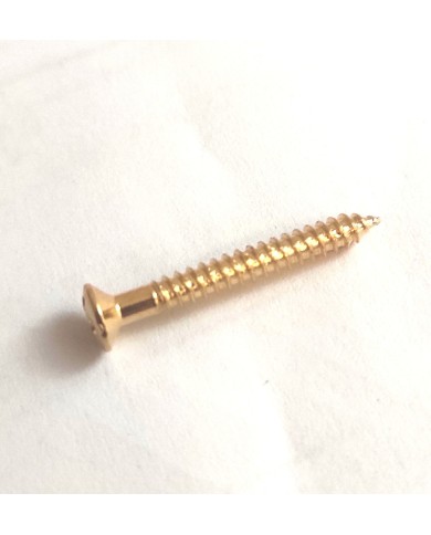 10 goldene Schrauben 3 x 25 mm für Trapez-Saitenhalter, Vibrola, Archtop-Gitarren