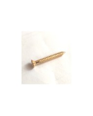 10 goldene Schrauben 3 x 25 mm für Trapez-Saitenhalter, Vibrola, Archtop-Gitarren
