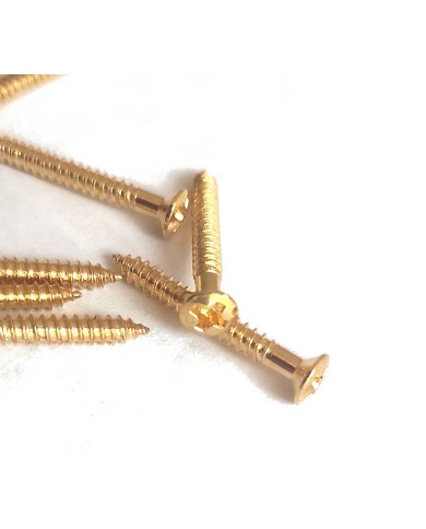10 goldene Schrauben 3 x 25 mm für Trapez-Saitenhalter, Vibrola, Archtop-Gitarren