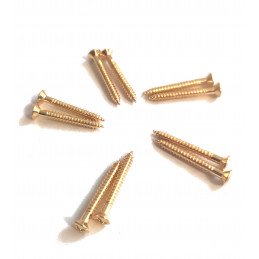 10 Gold 3 x 25mm screws for...