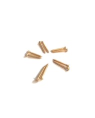 10 goldene Schrauben 3 x 25 mm für Trapez-Saitenhalter, Vibrola, Archtop-Gitarren