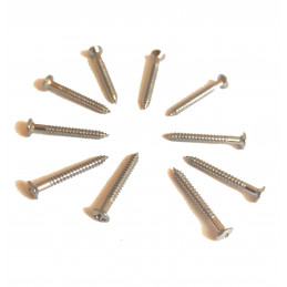 10 Nickel 3 x 25mm screws...