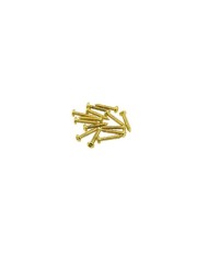 10 Archtop Tailpiece Mounting Screws, Gold, WDMusic USA