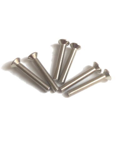 6 Nickel-Schrauben 3x20mm metrisches Format für Strat-Style-Pickups