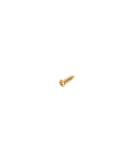8 Humbucker-Rahmenschrauben 10x2mm Gold
