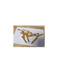 12 Humbucker- oder P90-Schrauben Gold
