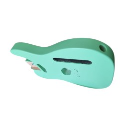 Telecaster body Sea Foam Green -  Aulne