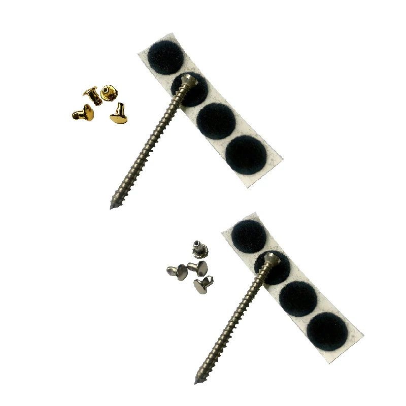 2 inch screw pack - Bigsby accessory gold or chrome