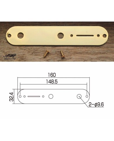 Goldene Kontrollplatte für Telecaster