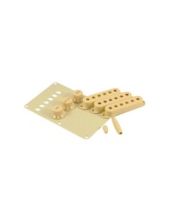 Genuine Fender Vintage Strat Accessory Kit Aged White: Knobs Tip Pickup Cover Trem Backplate 0991368000