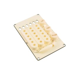 Kit d'accessoire WDMusic...