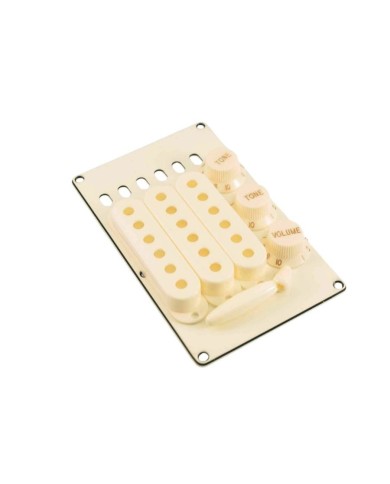 WDMusic Parchment Zubehörset für Stratocaster