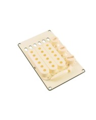 WDMusic Parchment Zubehörset für Stratocaster