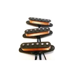 Set micros Stratocaster Classic Blues- Dreamsongs