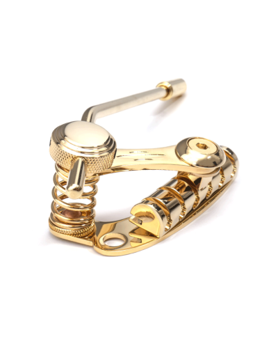 Linkshänder-Tremolo Les Trem II Gold für Les Paul & SG-Duesenberg