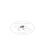 logo Dreamsongs pickups