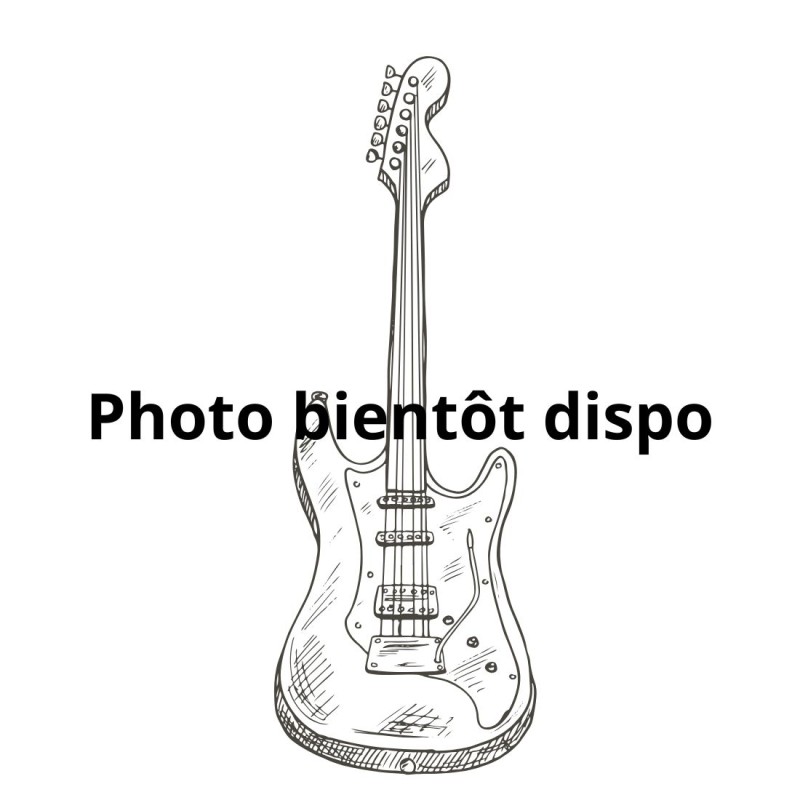 Corps Telecaster Aulne 3 pièces, finition bois naturel double binding,