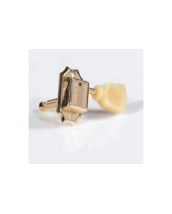 Faber Tuners, tulip button, 3+3, shiny gold