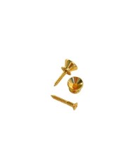 2 goldene Gotoh-Gurtpins im Stratocaster-Stil