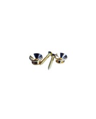 2 Gurtpins Gold im Stratocaster-Stil + Schrauben