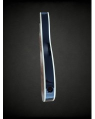 Corps Telecaster gaucher Black, micros HS