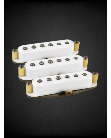 Set Micros Stratocaster Alnico 5 Vintage Tonerider Classic Blues