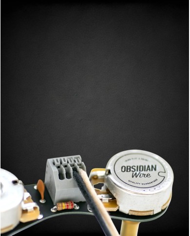 ObsidianWire Vintage Plus Precision Bass | Électronique pré-câblée