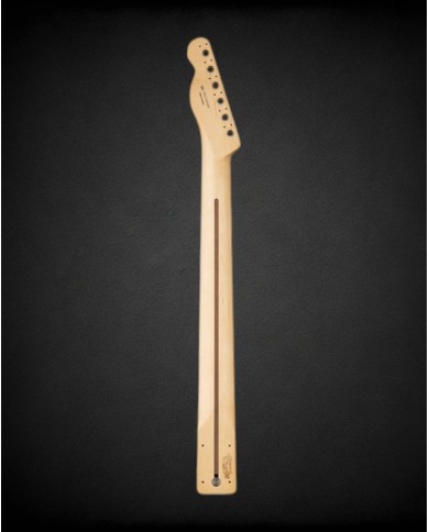 Manche Telecaster Fender, Player Series, incrustation block Pau Ferro