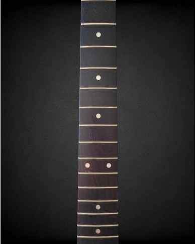 Manche Telecaster Wenge Nitro Satin 22 Frets 9.5" | ADP
