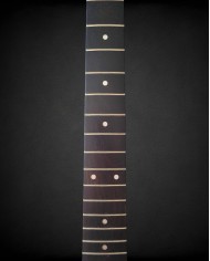 Manche Telecaster Wenge Nitro Satin 22 Frets 9.5" | ADP