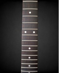 Flamed maple Telecaster neck, rosewood fingerboard, gloss finish