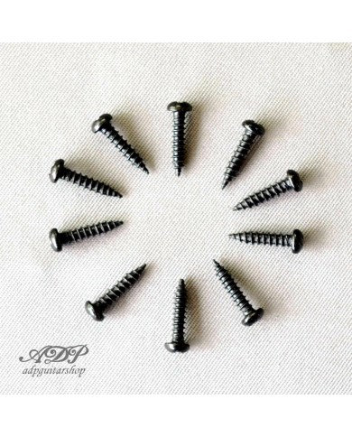 10 Schrauben für Mechaniken 2,5x9,5 mm Schwarz