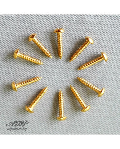 10 Schrauben für Mechaniken 2,5x9,5 mm Gold
