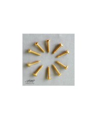 10 Schrauben für Mechaniken 2,5x9,5 mm Gold