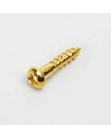 10 goldene Schrauben 2,1x10mm für Gotoh-Mechaniken