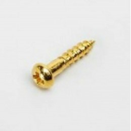 10 Gold Screws 2.1x10mm for...