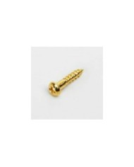 10 goldene Schrauben 2,1x10mm für Gotoh-Mechaniken
