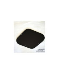 Schwarze Elektronikplatte für LP Epiphone