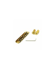 Bigsby B50 Licensed + WD Conversion Kit: Steg mit 6 Saitenreitern + Tonabnehmerplatte Gold