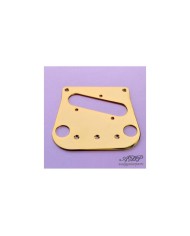 Bigsby B50 Licensed + WD Conversion Kit: Steg mit 6 Saitenreitern + Tonabnehmerplatte Gold