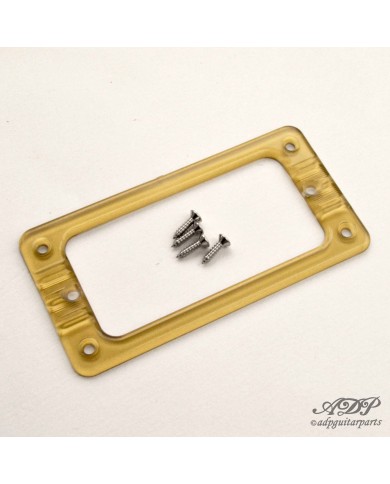 1 TV Jones Gold EM2 Gretsch-Style Pickup-Rahmen + Schrauben
