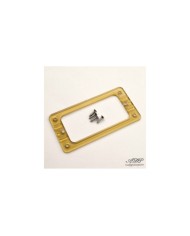 1 TV Jones Gold EM2 Gretsch-Style Pickup-Rahmen + Schrauben