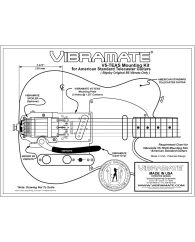 Vibramate V5 Bigsby B5 Montageplatte für Telecaster American Series ohne Bohren V5-TEAS