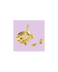 Original Bigsby B5 Vibrato Gold „Hufeisen“
