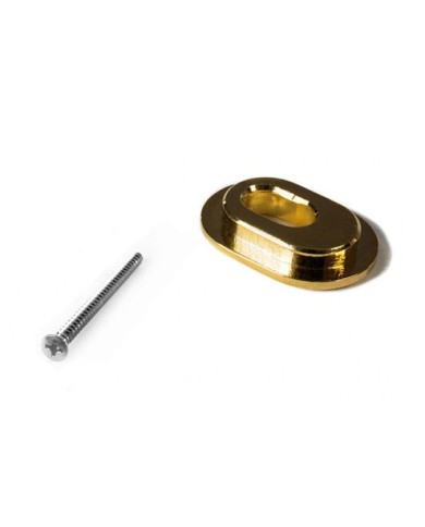 Plaque adaptateur Towner doree pour bigsby