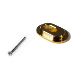 Towner gold Hinge Plate...