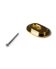 Plaque adaptateur Towner doree pour bigsby