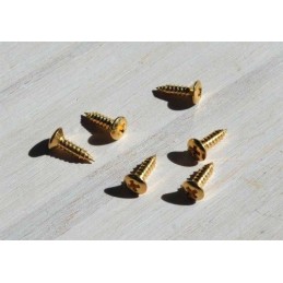 12 Gold Pickguard screws...